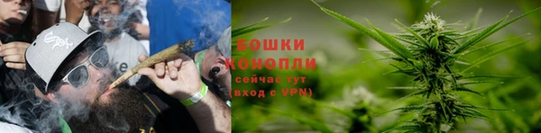 дмт Кукмор