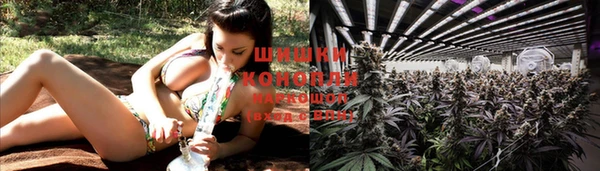 дмт Кукмор