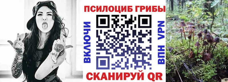 Галлюциногенные грибы Psilocybine cubensis Купить Лысьва